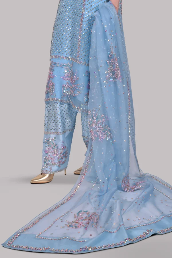 Cashmere Blue Embellished Organza Set